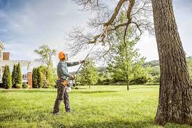 How Our Tree Care Process Works  in  Ocean Pointe, HI