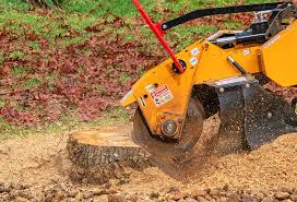 Best Grass Overseeding  in Ocean Pointe, HI